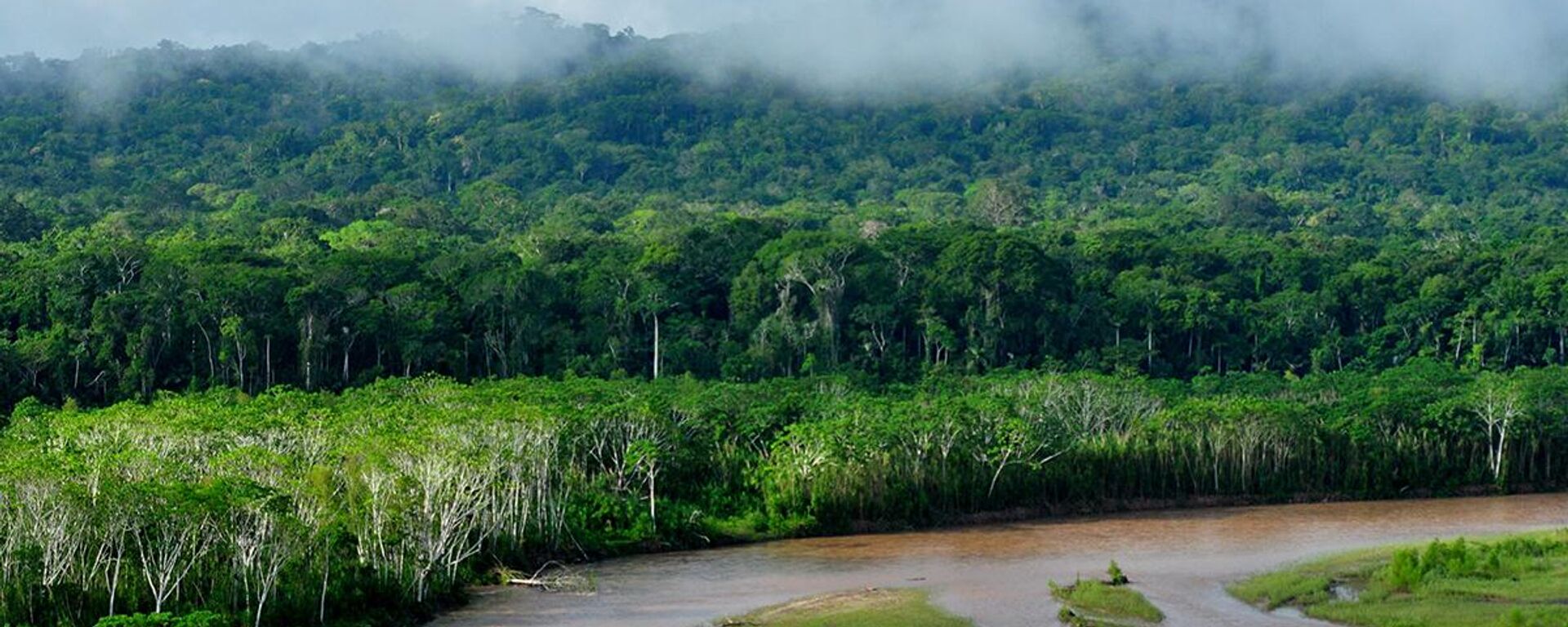 Parque Nacional Madidi en la Amazonia boliviana - Sputnik Mundo, 1920, 15.02.2024