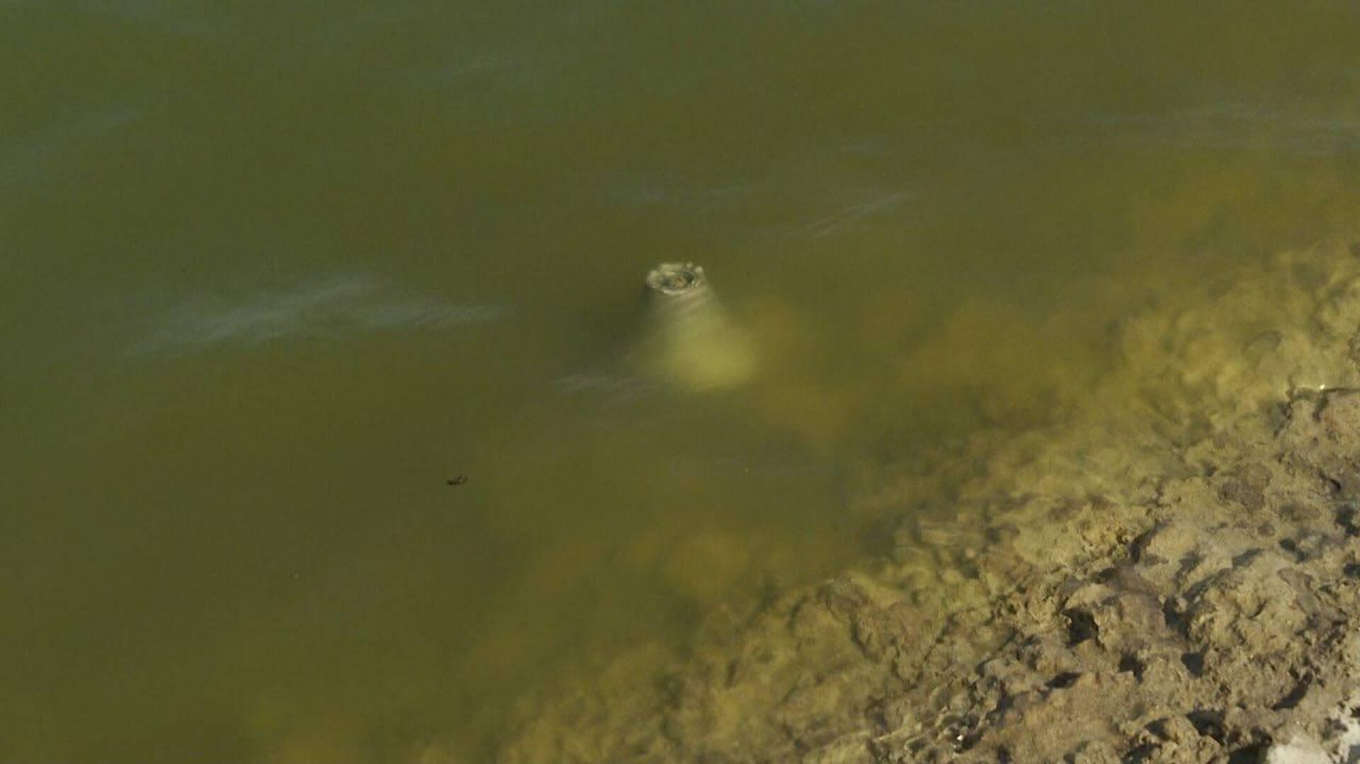 Fragmento de proyectil estadounidense encontrado en piscina de la central nuclear de Zaporozhie - Sputnik Mundo, 1920, 11.06.2023