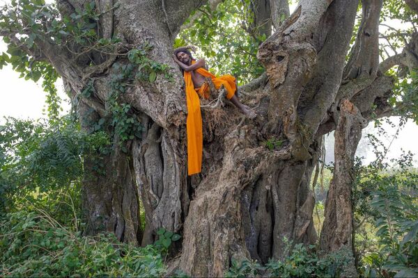 Pájaro libre. Bangladesh - Sputnik Mundo