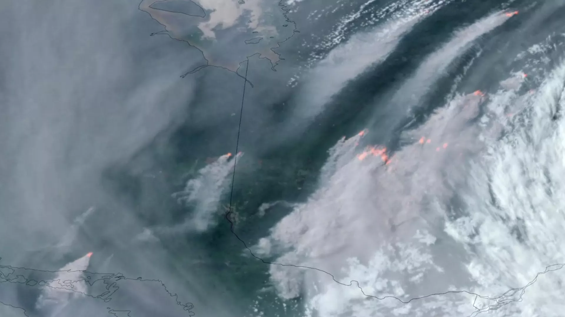 Incendios forestales en Canadá arrasan con 5,3 millones de hectáreas Incendios forestales en Canadá arrasan con 5,3 millones de hectáreas - Sputnik Mundo, 1920, 12.12.2023