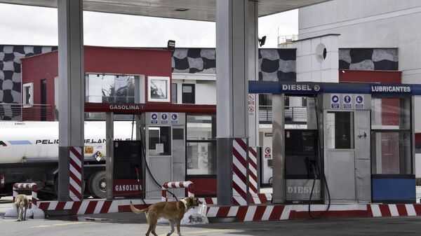 Estación de servicio de gasolina y gas vehicular, en El Alto, Bolivia  - Sputnik Mundo