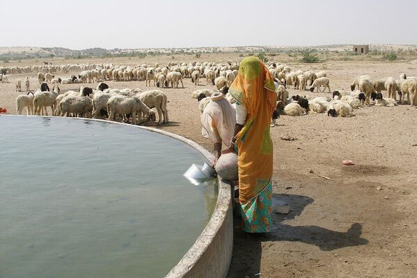 El desierto de Thar, Rajastán, India. El desierto de Thar forma una frontera natural entre la India y Pakistán. - Sputnik Mundo