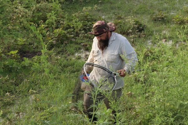 El ingeniero ambiental Heinz Arno Drawert, quien descubrió al 'Moema juanderibaensis' - Sputnik Mundo