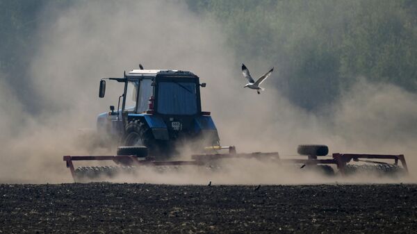 Siembra de granos en la región de Novosibirsk, Rusia - Sputnik Mundo