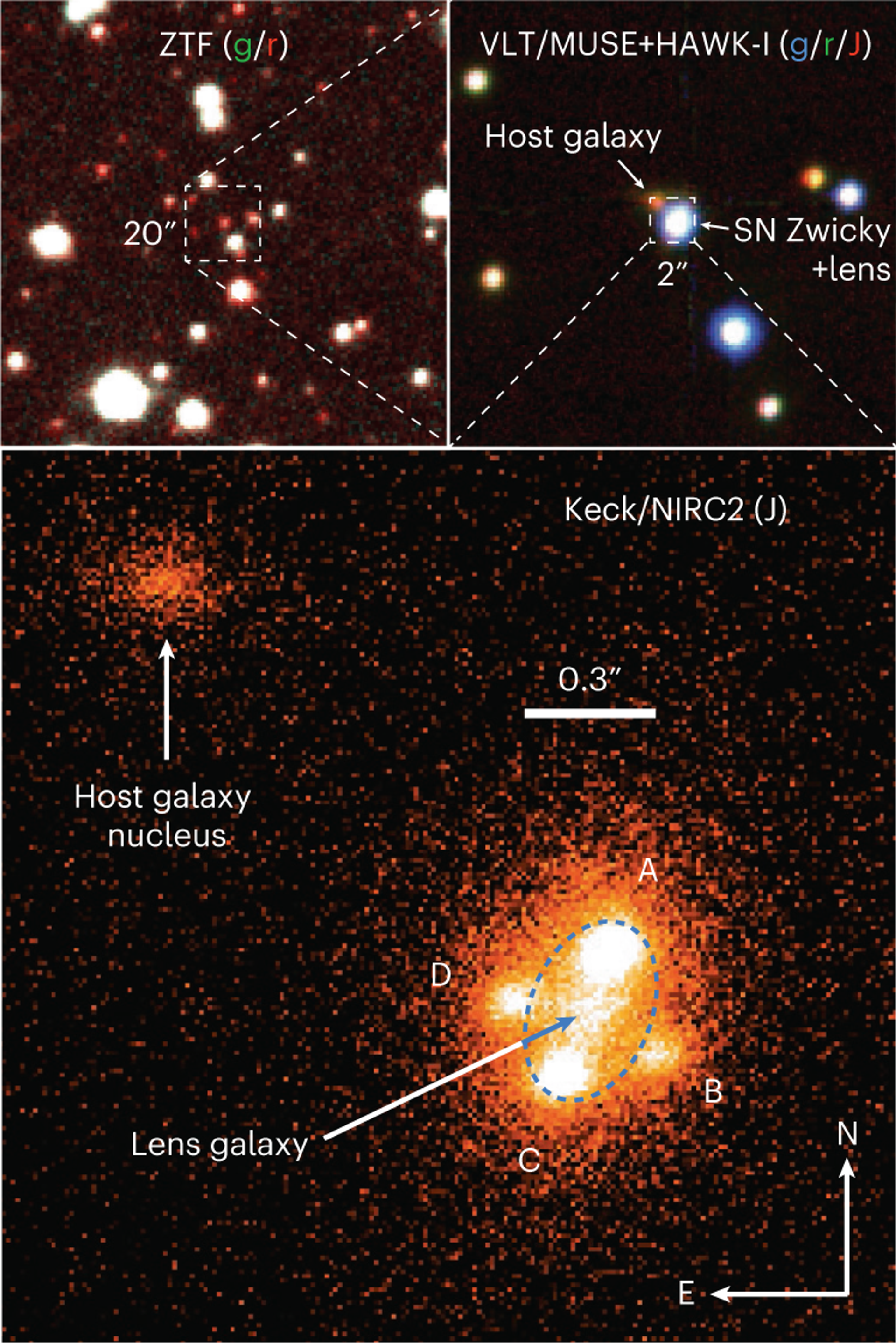 La cruz de Einstein vista gracias al lente gravitacional - Sputnik Mundo, 1920, 24.06.2023