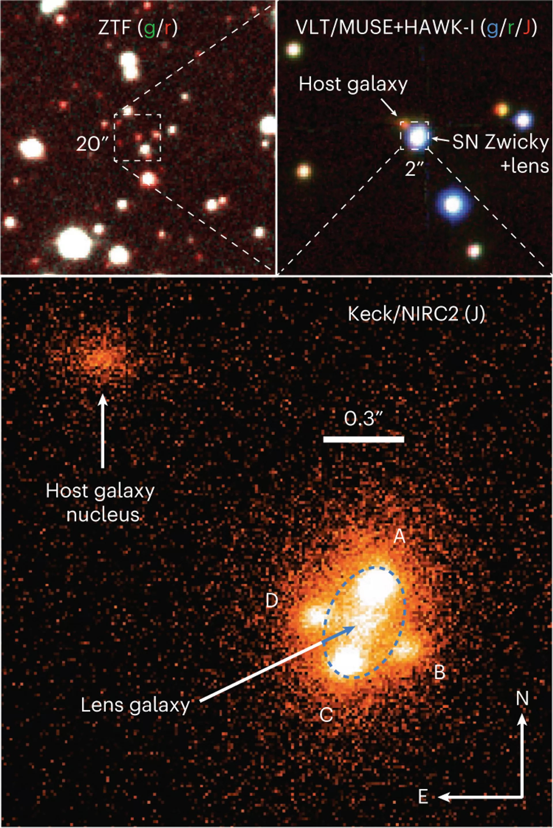 La cruz de Einstein vista gracias al lente gravitacional - Sputnik Mundo, 1920, 24.06.2023