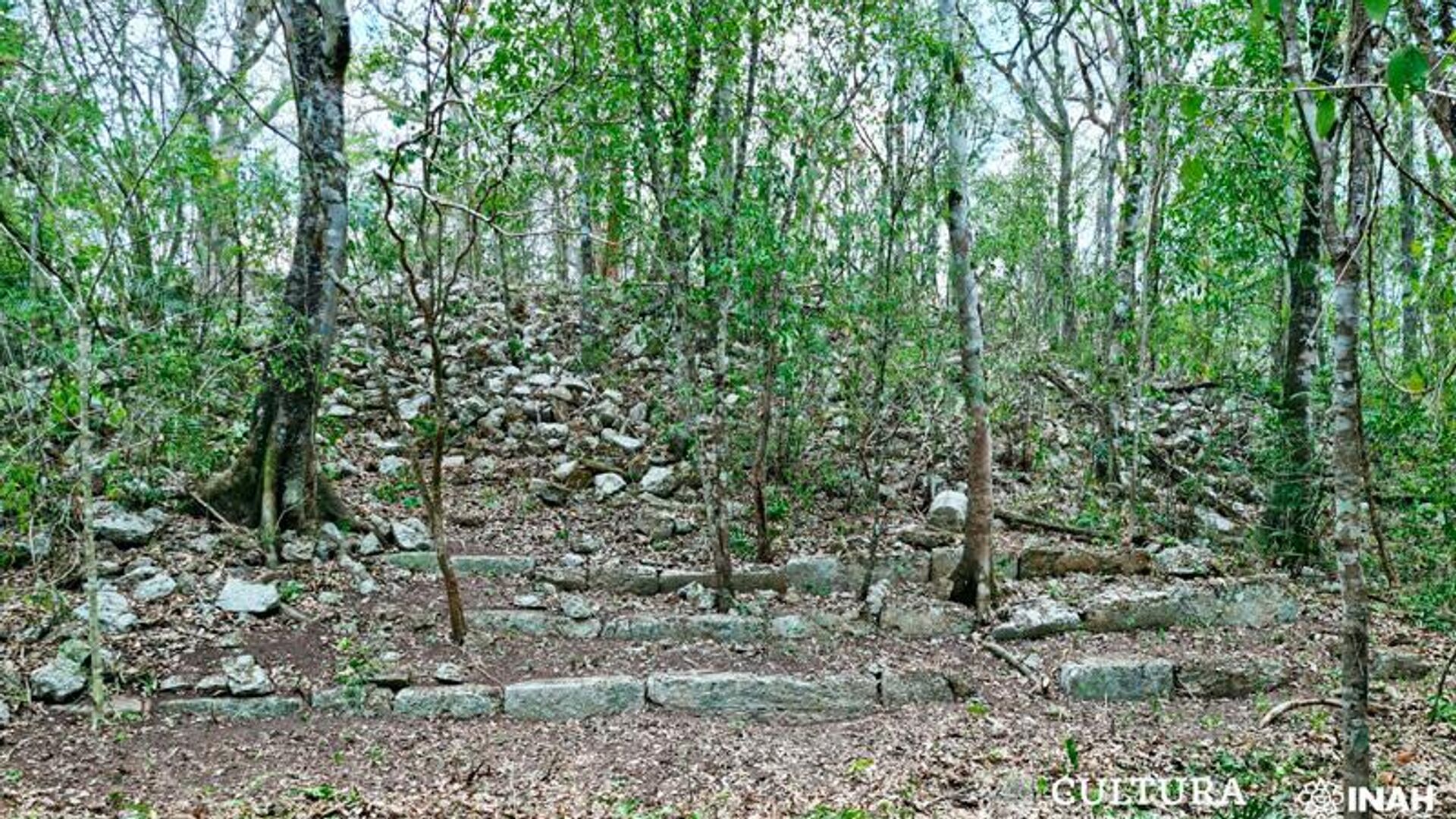 Ocomtún, la antigua ciudad maya descubierta en el sureste mexicano Ocomtún, la antigua ciudad maya descubierta en el sureste mexicano - Sputnik Mundo, 1920, 28.06.2023