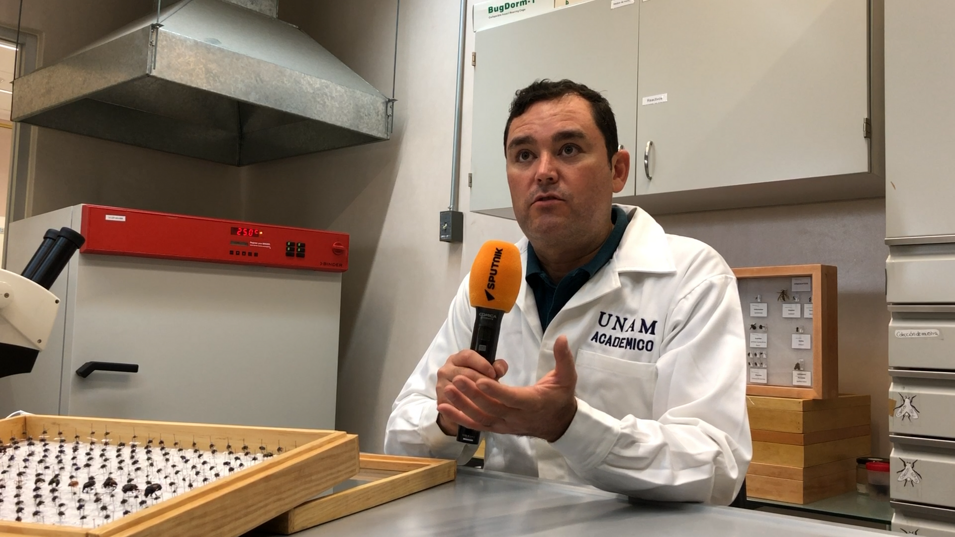 Carlos Pedraza, responsable del Laboratorio de Entomología Forense y doctor en Biología de la Conservación por la Universidad Complutense de Madrid. Carlos Pedraza, responsable del Laboratorio de Entomología Forense y doctor en Biología de la Conservación por la Universidad Complutense de Madrid. - Sputnik Mundo, 1920, 29.06.2023