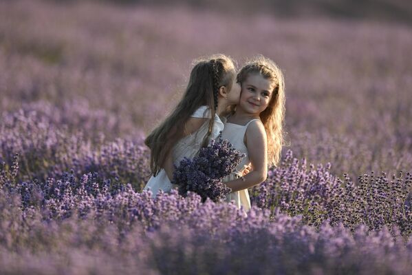 Los campos de lavanda de Crimea florecen durante mucho tiempo, pero si lo que uno busca es una espectacular sesión fotográfica en la 'Provenza' de Crimea, lo mejor es estar allí a mediados de verano. Los campos de lavanda de Crimea florecen durante mucho tiempo, pero si lo que uno busca es una espectacular sesión fotográfica en la 'Provenza' de Crimea, lo mejor es estar allí a mediados de verano. - Sputnik Mundo