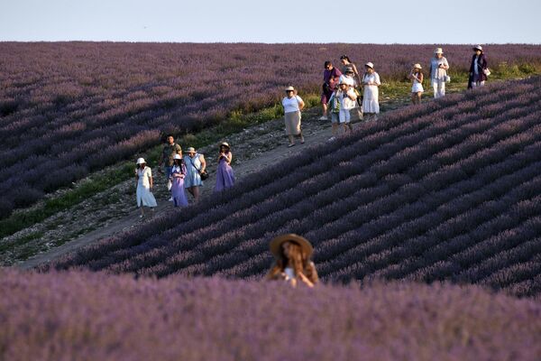 Gracias a un microclima único, aquí también se cultivan los mejores melocotones, uvas y cerezas de la península.En la foto: turistas en un campo de lavanda cerca del pueblo de Turguénevka en Crimea. Gracias a un microclima único, aquí también se cultivan los mejores melocotones, uvas y cerezas de la península.En la foto: turistas en un campo de lavanda cerca del pueblo de Turguénevka en Crimea. - Sputnik Mundo