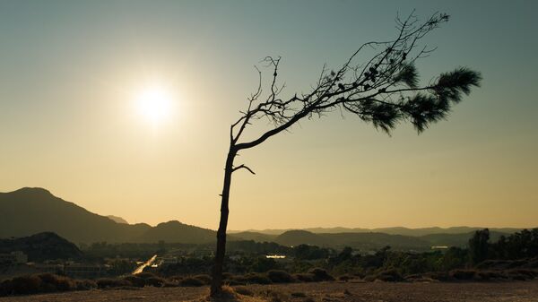 Calor (imagen referencial) - Sputnik Mundo