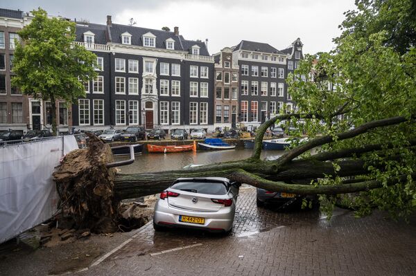 Un árbol arrancado de raíz cayó sobre los coches en el centro de Ámsterdam, Países Bajos, tras la tormenta Poly. - Sputnik Mundo