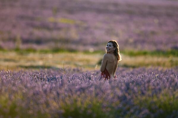 Una joven se toma una foto en un campo de lavanda cerca de la localidad de Turguénevka, en Crimea. - Sputnik Mundo