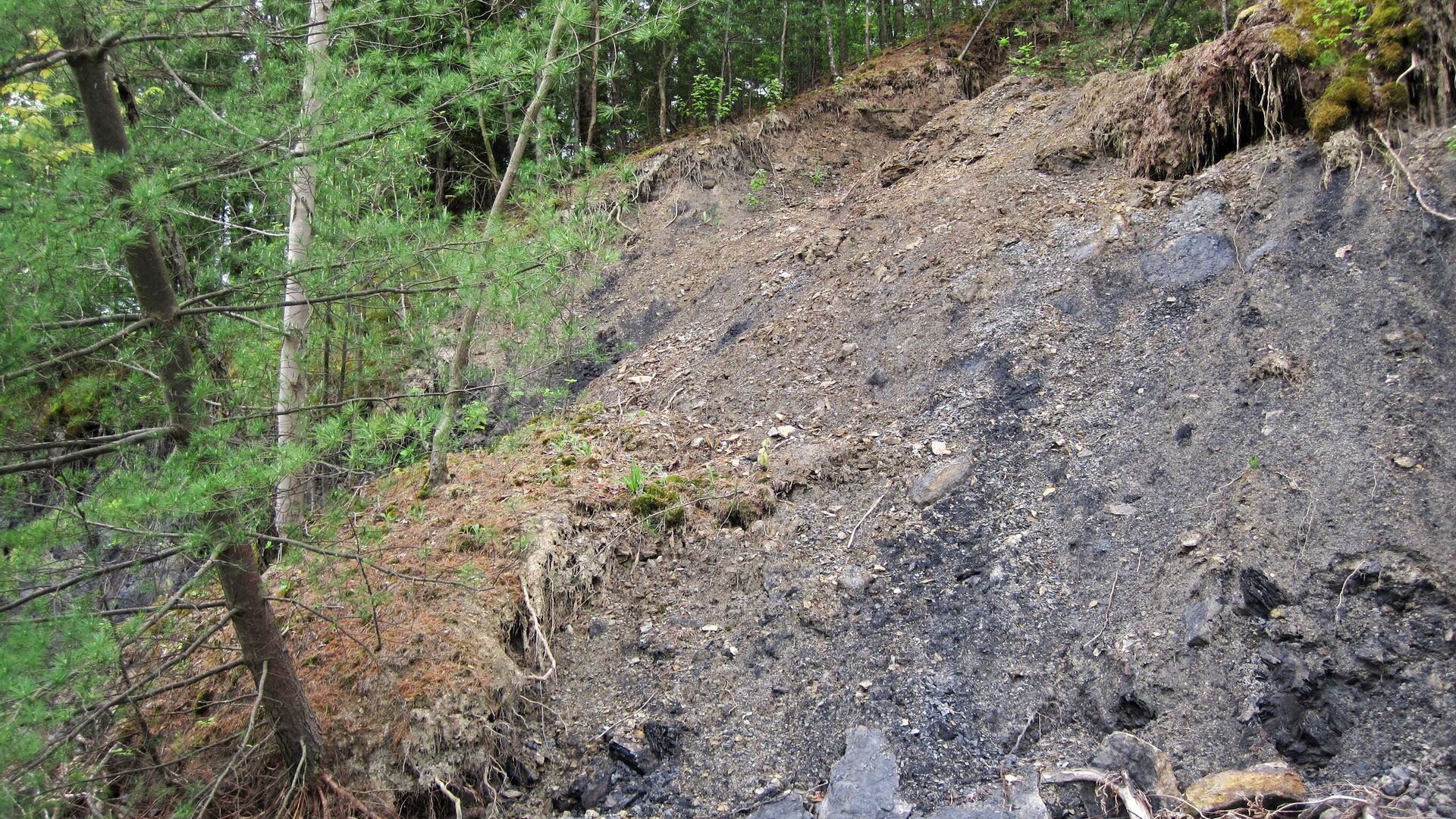 Consecuencias de una avalancha provocada por lluvias Consecuencias de una avalancha provocada por lluvias - Sputnik Mundo, 1920, 18.07.2023