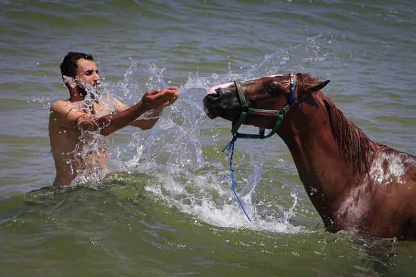 Un hombre baña a un caballo en la ciudad de Gaza, Palestina. Un hombre baña a un caballo en la ciudad de Gaza, Palestina. - Sputnik Mundo