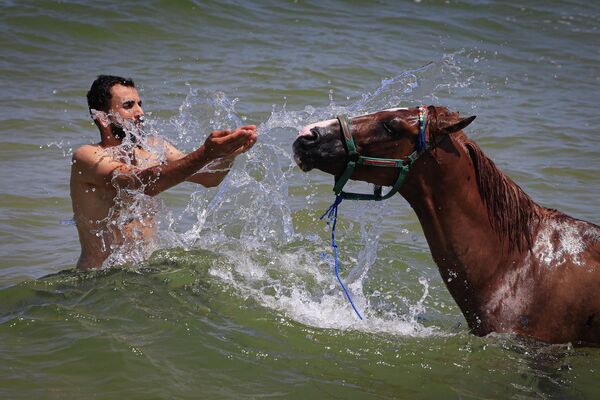 Un hombre baña a un caballo en la ciudad de Gaza, Palestina. Un hombre baña a un caballo en la ciudad de Gaza, Palestina. - Sputnik Mundo