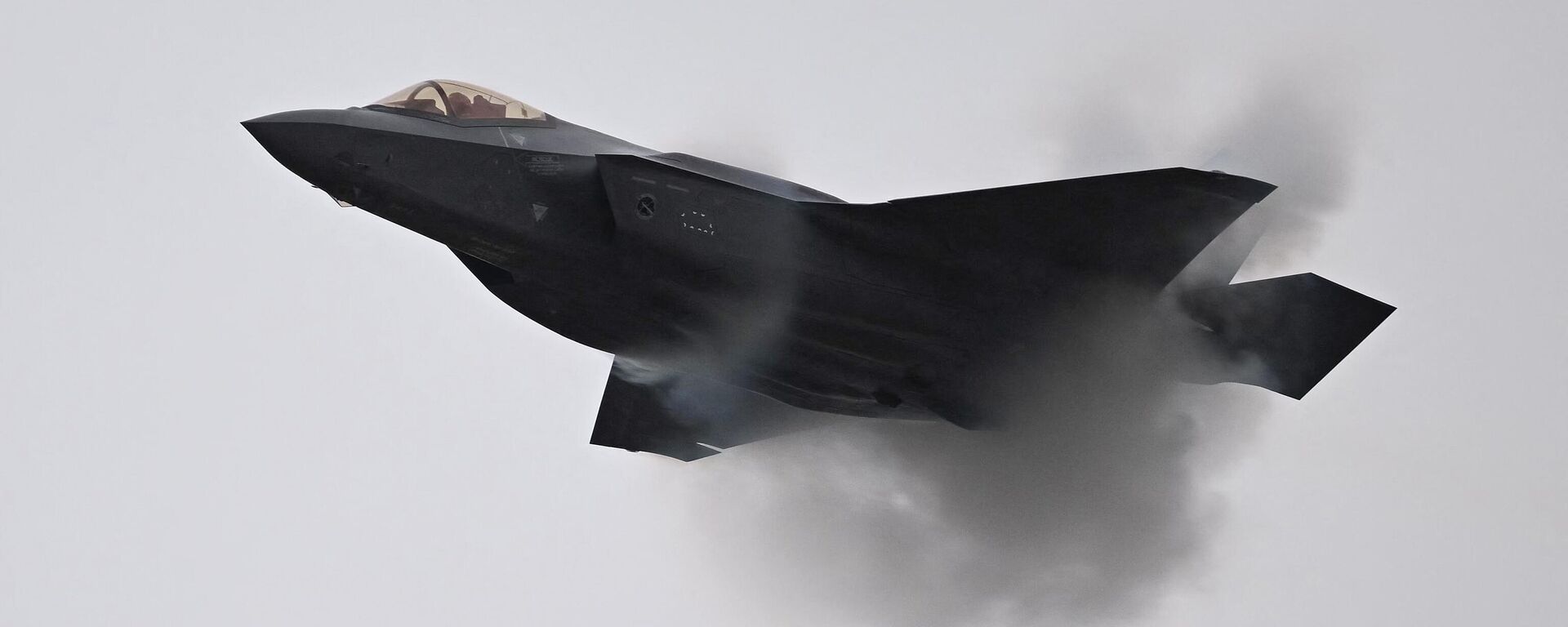 Caza F-35  - Sputnik Mundo, 1920, 03.08.2023