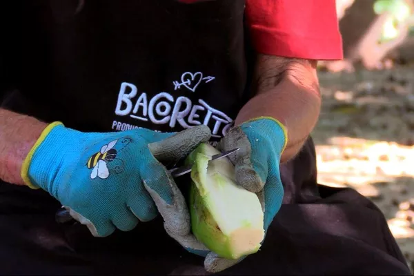 Procesamiento de los ingredientes para la elaboración de las harinas Bacoretto - Sputnik Mundo