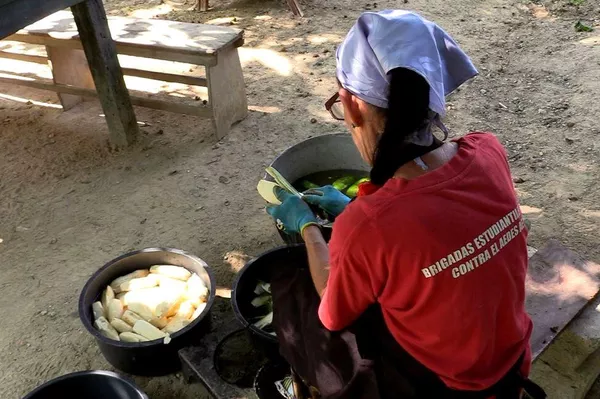 Procesamiento de los ingredientes para la elaboración de las harinas Bacoretto - Sputnik Mundo