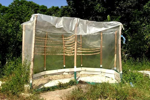 Secado de las frutas para la elaboración de las harinas - Sputnik Mundo