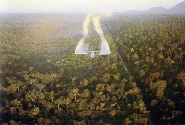 Esto se debe al uso por parte de los estadounidenses, durante esta guerra, de una mezcla extremadamente peligrosa de defoliantes llamada Agente Naranja.En la foto: la fumigación de Agente Naranja sobre Vietnam del Sur desde un avión de transporte militar estadounidense Fairchild C-123 Provider, 1962. Esto se debe al uso por parte de los estadounidenses, durante esta guerra, de una mezcla extremadamente peligrosa de defoliantes llamada Agente Naranja.En la foto: la fumigación de Agente Naranja sobre Vietnam del Sur desde un avión de transporte militar estadounidense Fairchild C-123 Provider, 1962. - Sputnik Mundo