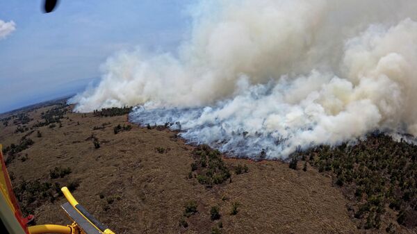 Cifra de fallecidos por incendios en Hawái aumenta a 53, según condado de Maui - Sputnik Mundo