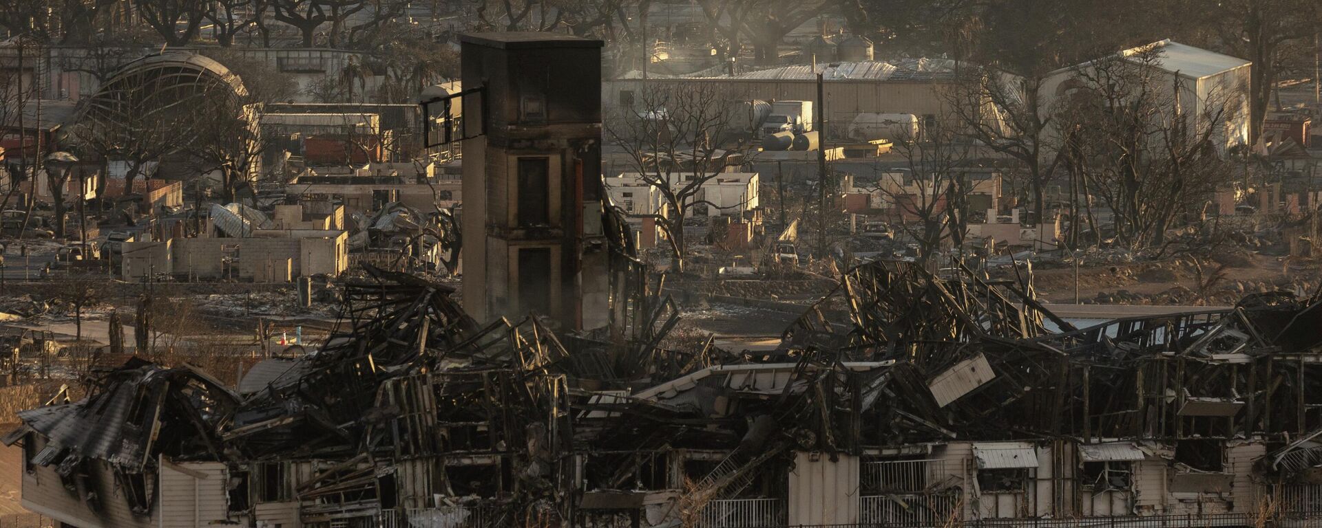 Incendios forestales en Hawái - Sputnik Mundo, 1920, 21.08.2023