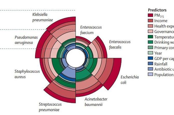 Aportación de los factores predictivos a la resistencia a los antibióticos para cada patógeno - Sputnik Mundo