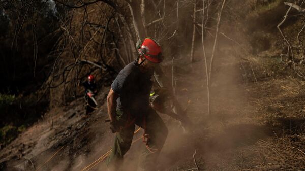 Incendios forestales  - Sputnik Mundo