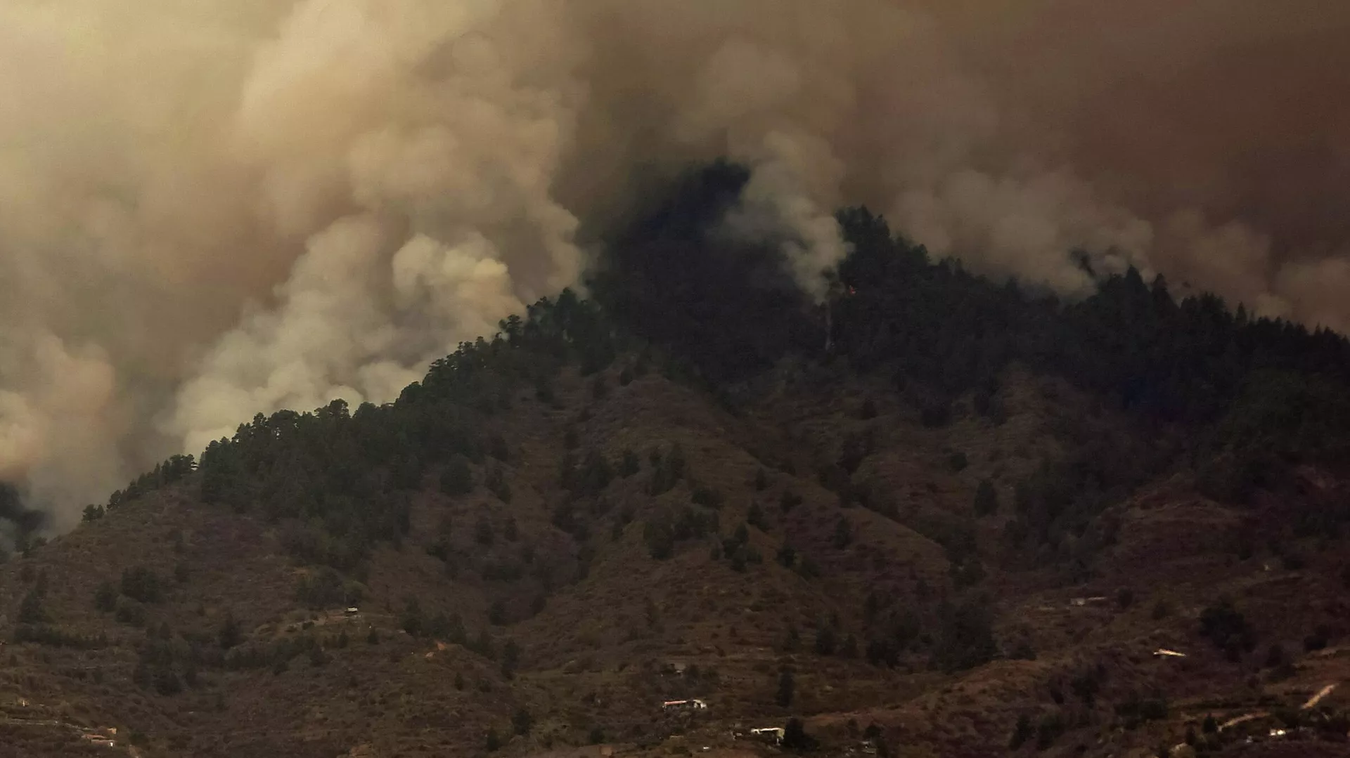 Incendios forestales en Tenerife Incendios forestales en Tenerife - Sputnik Mundo, 1920, 18.08.2023