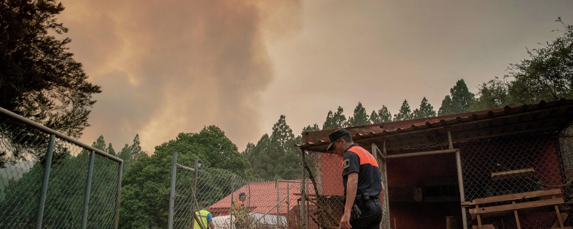 Incendio forestal fuera del control en Tenerife - Sputnik Mundo, 1920, 19.08.2023