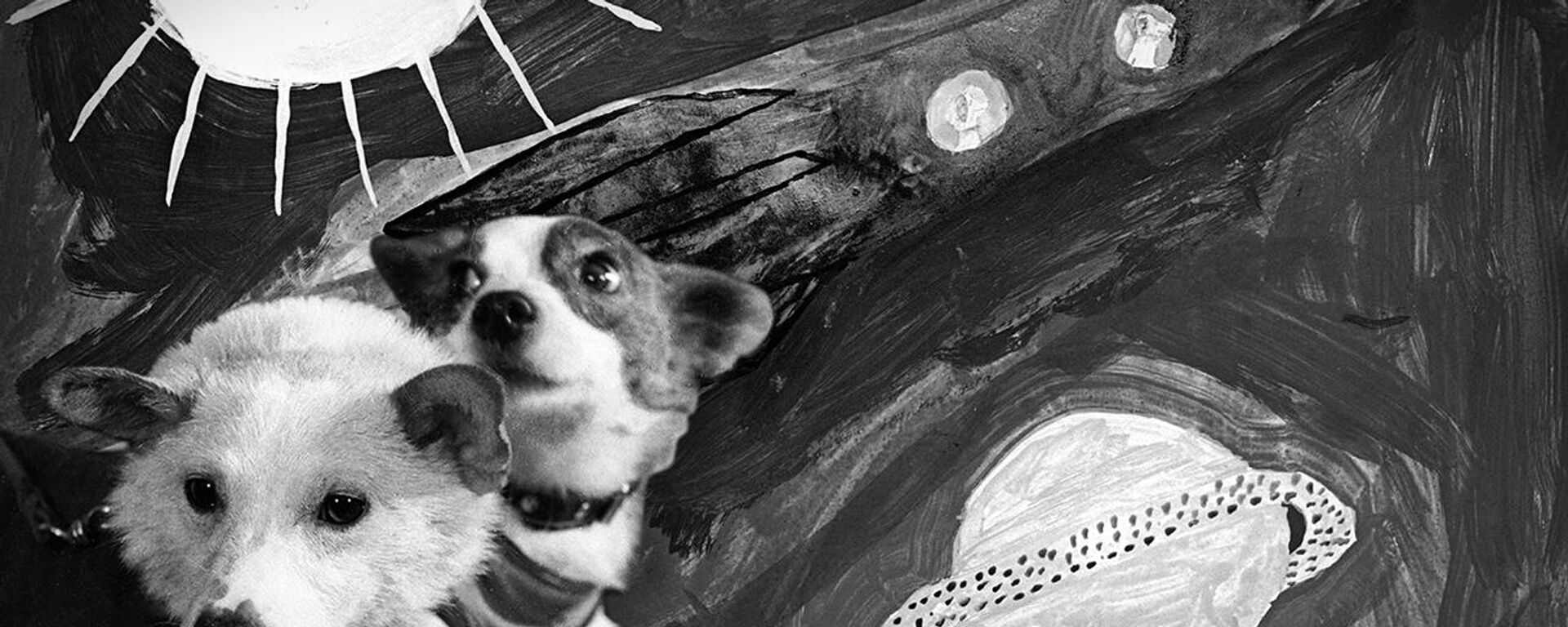 Belka y Strelka: 63 años del viaje al espacio de las valientes perras cosmonautas - Sputnik Mundo, 1920, 19.08.2023