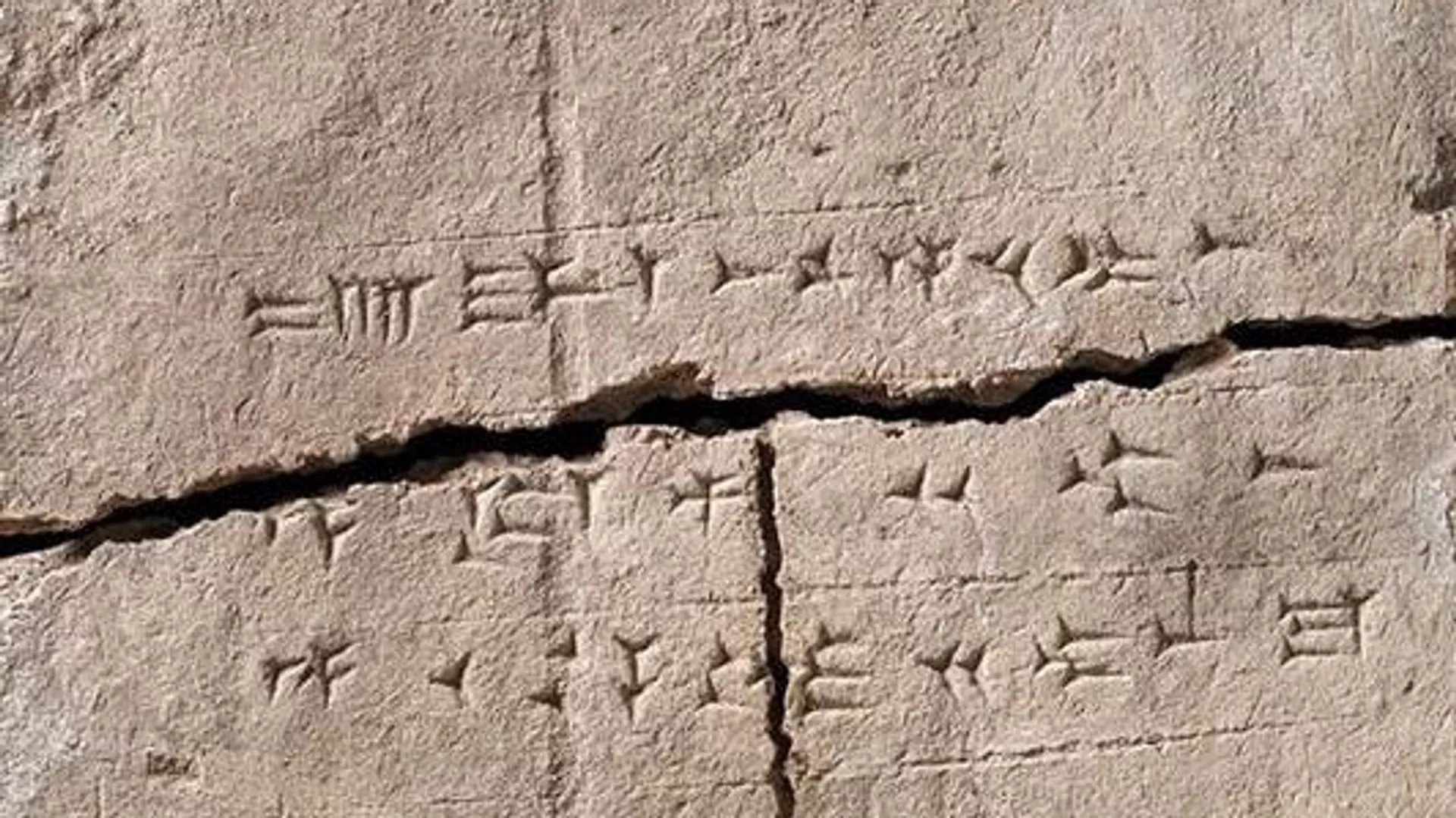 Descubren ADN de 34 plantas en un ladrillo de arcilla de 2.900 años Descubren ADN de 34 plantas en un ladrillo de arcilla de 2.900 años - Sputnik Mundo, 1920, 22.08.2023