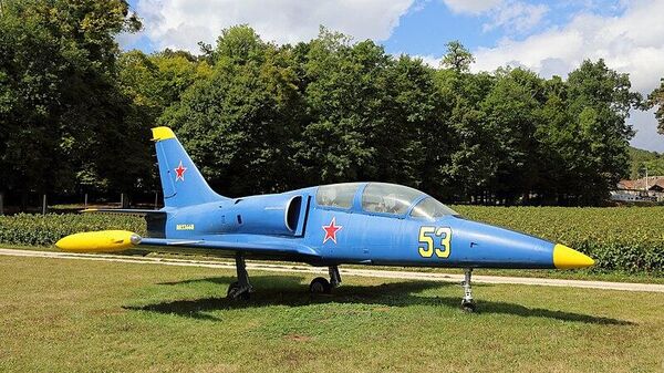 Un avión L-39  - Sputnik Mundo