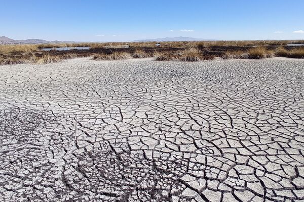 Baja el nivel de agua en el lago Titicaca - Sputnik Mundo