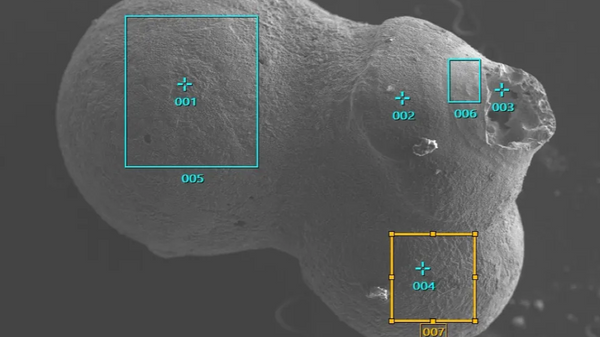 Imagen de microsonda electrónica de S21 del experimento 14 en la región de alto rendimiento de la trayectoria de IM1. - Sputnik Mundo