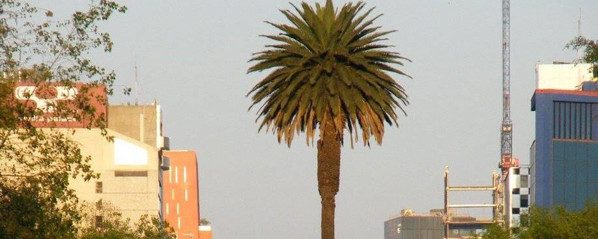 La Glorieta de la Palma se ubica en avenida Paseo de la Reforma, en la Ciudad de México. (Imagen de 2015) - Sputnik Mundo, 1920, 02.09.2023