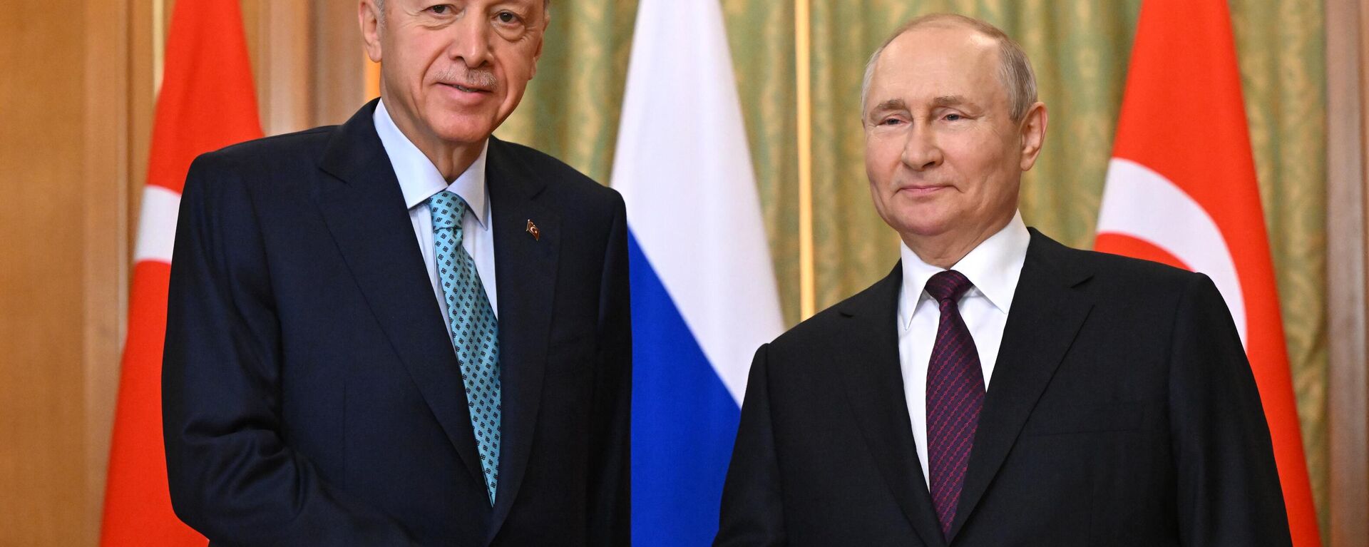 El presidente de Turquía, Recep Tayyip Erdogan, en una reunión con su par ruso, Vladímir Putin - Sputnik Mundo, 1920, 04.09.2023