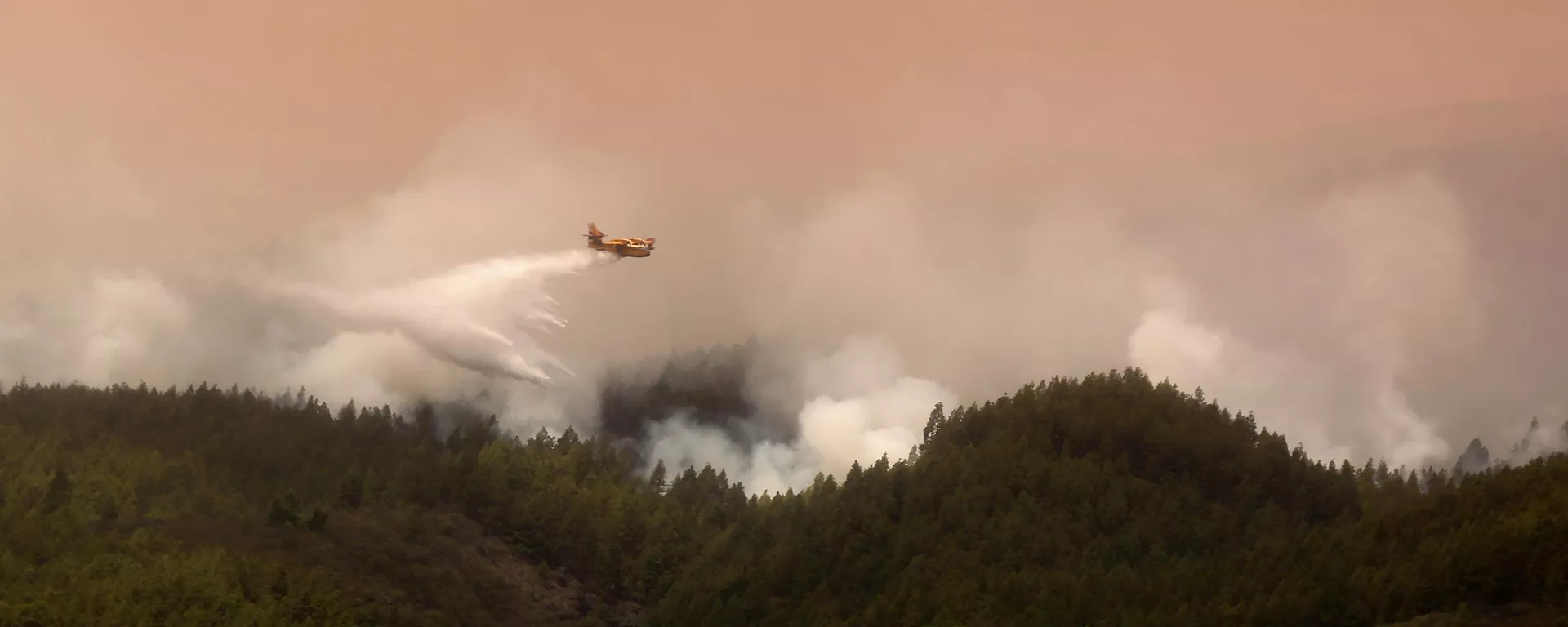 Incendios forestales en Tenerife Incendios forestales en Tenerife - Sputnik Mundo, 1920, 05.09.2023