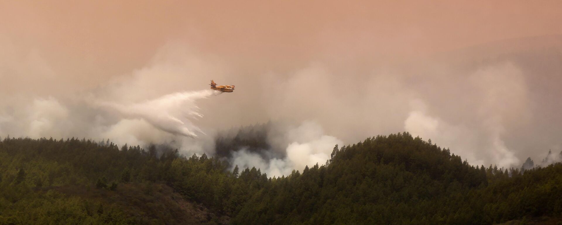 Incendios forestales en Tenerife - Sputnik Mundo, 1920, 05.09.2023