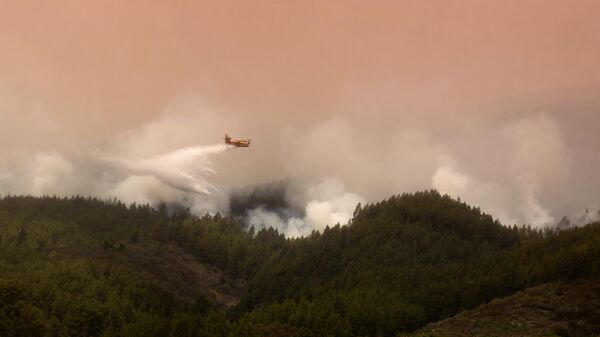 Incendios forestales en Tenerife - Sputnik Mundo