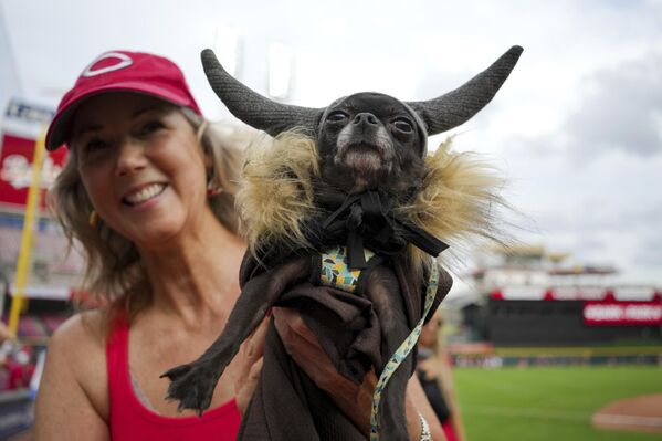 Denise Dal Vera posa con su perro, Coco, antes de un partido de béisbol entre los Seattle Mariners y los Cincinnati Reds en la ciudad estadounidense de Cincinnati. - Sputnik Mundo