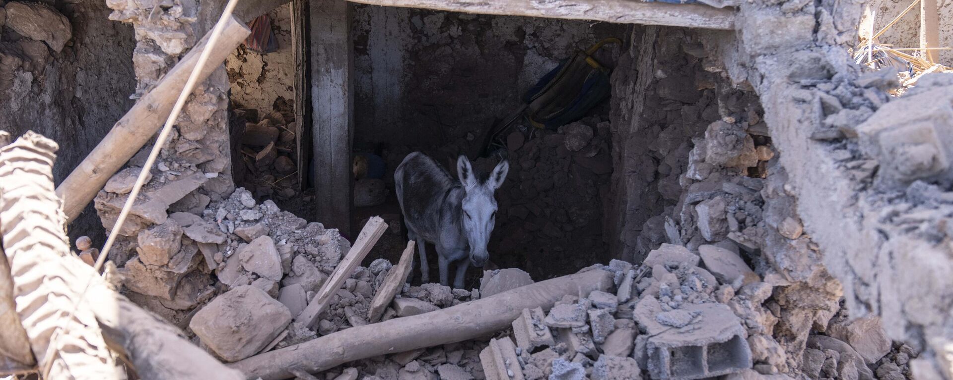 Terremoto en Marruecos - Sputnik Mundo, 1920, 12.09.2023