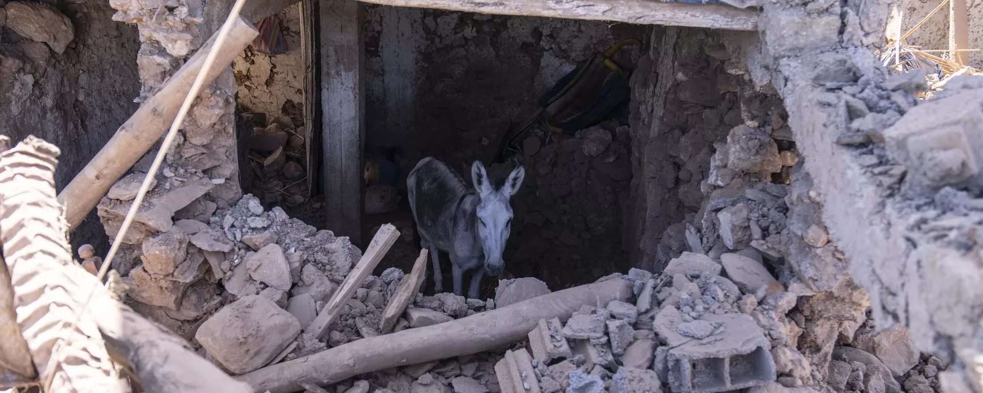 Terremoto en Marruecos Terremoto en Marruecos - Sputnik Mundo, 1920, 12.09.2023