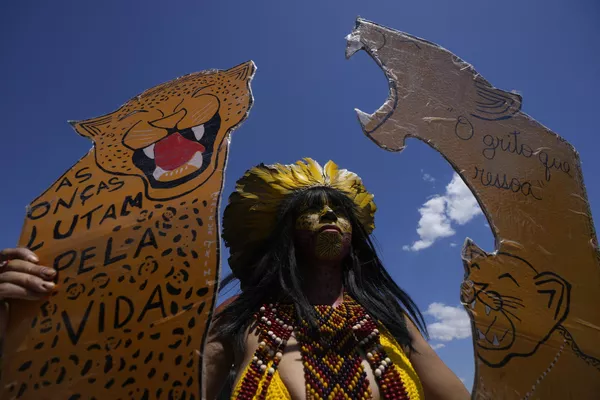 Una mujer pataxo lleva carteles con imágenes de jaguares en los que se lee en portugués: "Los jaguares luchan por la vida". Una mujer pataxo lleva carteles con imágenes de jaguares en los que se lee en portugués: "Los jaguares luchan por la vida". - Sputnik Mundo