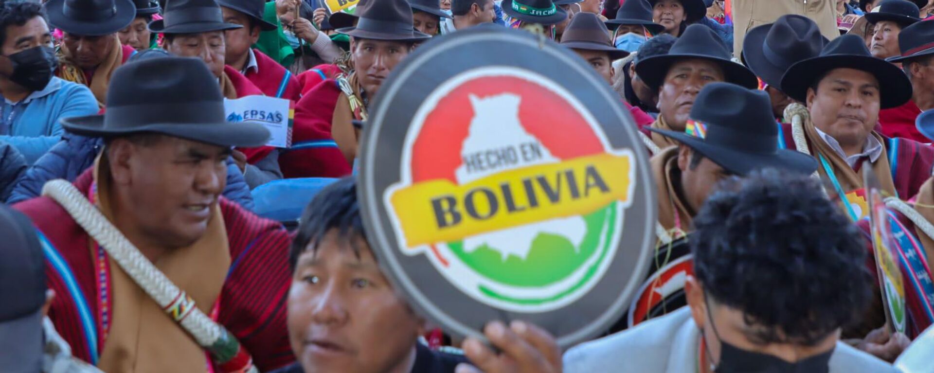 Anuncio de la creación de la Industria Boliviana Química  - Sputnik Mundo, 1920, 16.09.2023