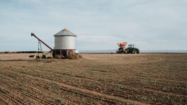 El campo en Argentina - Sputnik Mundo