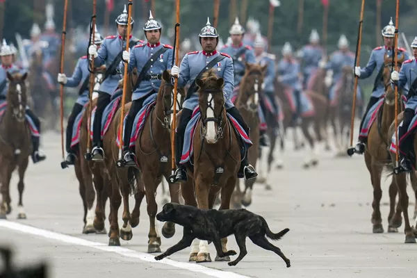 Regimiento de escolta presidencial durante el desfile militar del Día de las Glorias del Ejército en Santiago de Chile. Regimiento de escolta presidencial durante el desfile militar del Día de las Glorias del Ejército en Santiago de Chile. - Sputnik Mundo