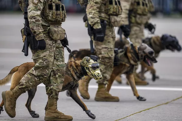 Soldados chilenos marchan con perros de rescate. Soldados chilenos marchan con perros de rescate. - Sputnik Mundo