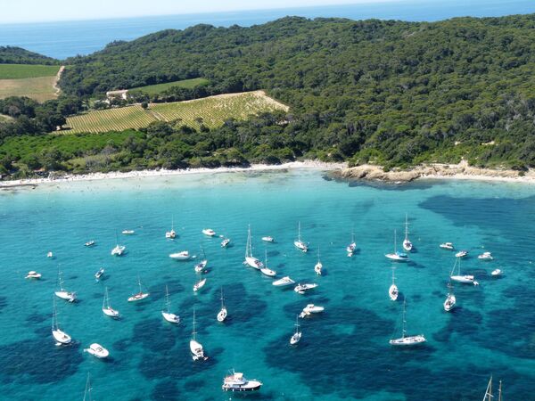 La isla de Porquerolles, al sureste de Francia, no permite viajar en autos, pero sí permite disfrutar de su abundante naturaleza y tranquilidad.En la foto: el Parque Nacional de Port-Cros en la isla de Porquerolles. - Sputnik Mundo